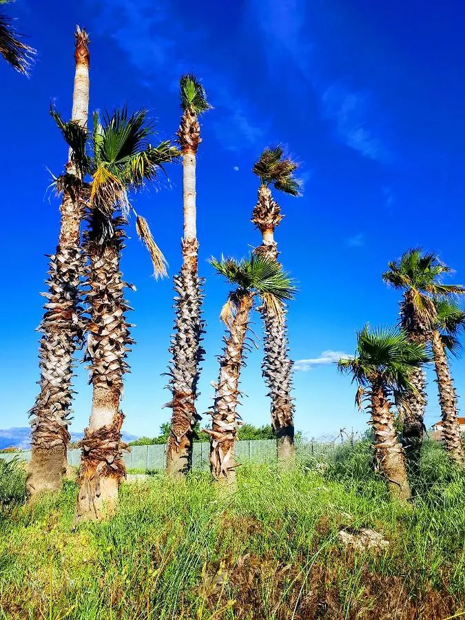 Fresh Apartments Dar Orlic Trogir Aparthotel